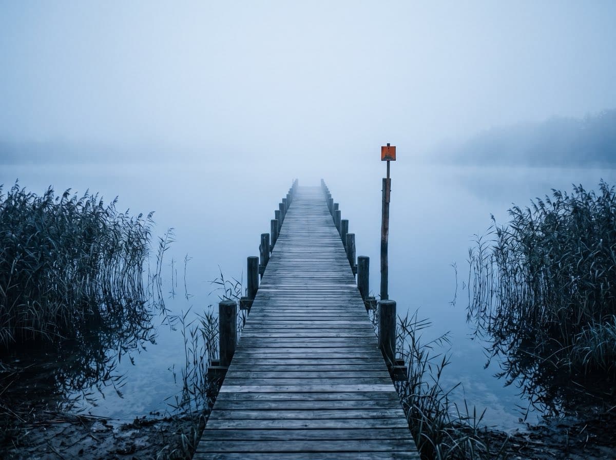 Holzsteg im Frühnebel, flaches Wasser dahinter